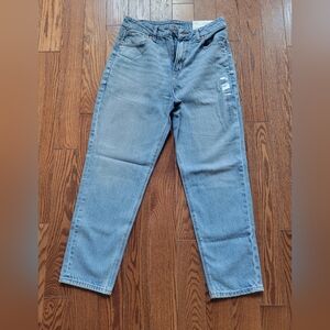 American Eagle Curvy Mom Jean In Medium Vintage Strigid